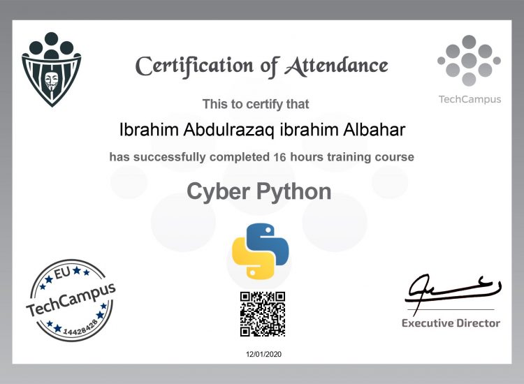 Cyber Python